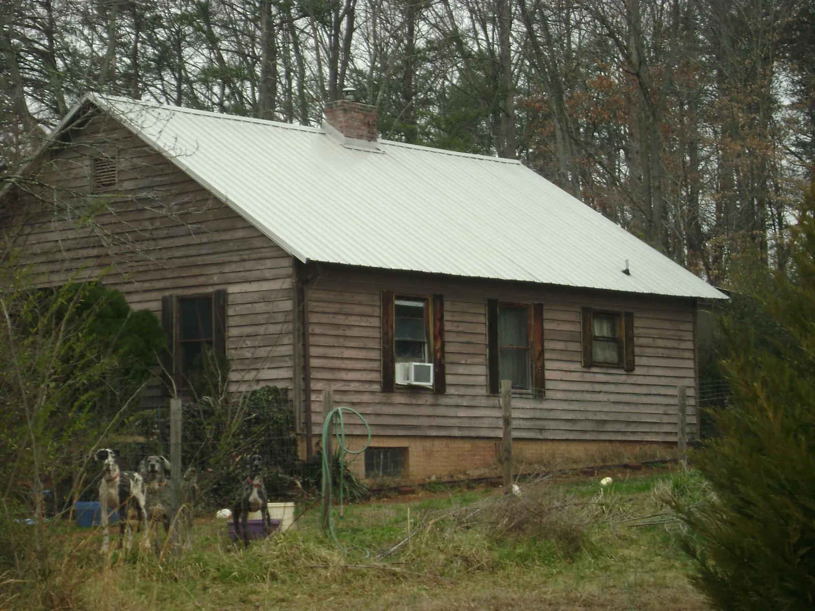 White metal roof on an old wood sided farmhouse, from a Asphalt Shingle Roof Repair job in Ironside
